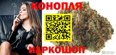 крисы Кунгур