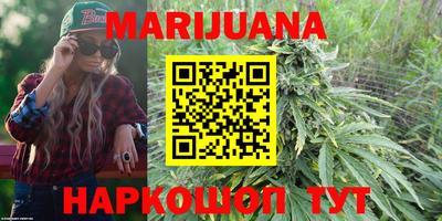 крисы Кунгур