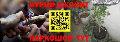 крисы Кунгур